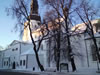 One of the sights of Tallinn during our brass monkey tourist walk.